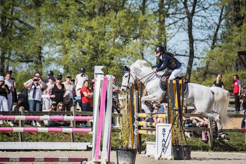 Les Ecuries au Cœur de L'Isle Adam - Centre équestre 95 - photo 3