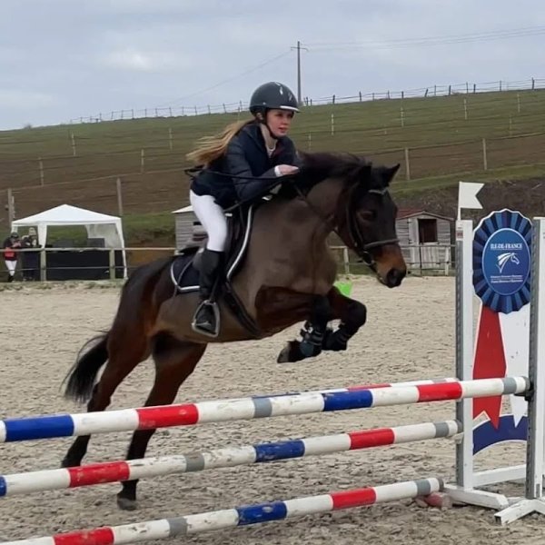 Club Hippique l'Orée de la forêt - photo 1