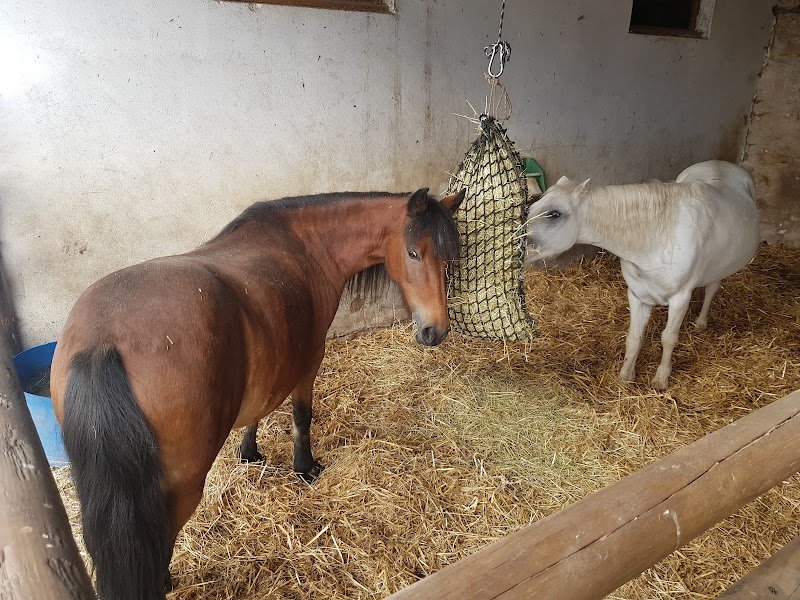 Ecurie de la ferme des Tilleuls